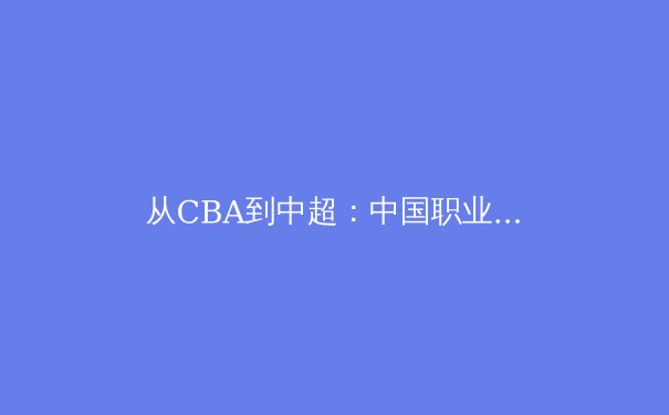 从CBA到中超：中国职业体育的转型阵痛与未来机遇 - 2